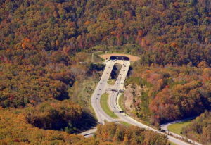 肯塔基州 肯塔基州