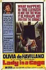 籠子裡的女人 籠子裡的女人