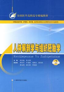 組織胚胎學筆記精要 組織胚胎學筆記精要