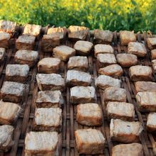 自製豆腐乳的方法