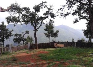 普安縣普白森林公園 普安縣普白森林公園