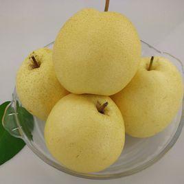 酥梨 酥梨