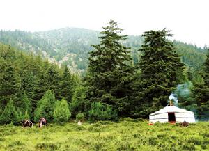 哈里哈圖國家森林公園