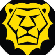 廣州龍獅行銷策劃有限公司 廣州龍獅行銷策劃有限公司