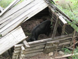 秋多龍坡上村 秋多龍坡上村