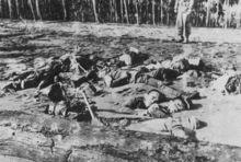 瓜島爭奪戰戰場上日軍傷亡的慘狀