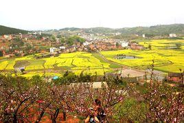 車江鐵市桃花源 車江鐵市桃花源