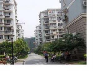 近江九園 近江九園