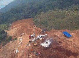 湖州死豬案 湖州死豬案