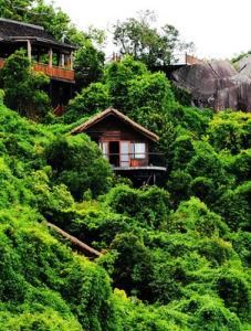 亞龍灣熱帶天堂森林公園 亞龍灣熱帶天堂森林公園