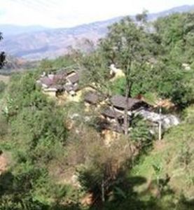 師家村自然村 師家村自然村