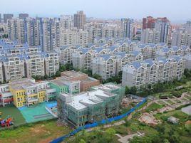 武夷綠洲 武夷綠洲