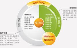 現代醫學體系 現代醫學體系