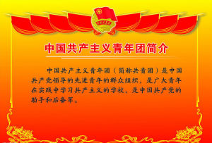 中國共產主義青年團 簡介