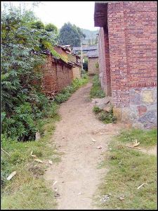 赤水大東村 赤水大東村