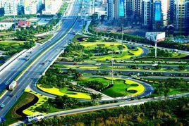 東莞大道 東莞大道