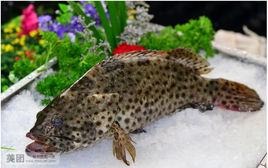 珍膳美大酒樓 珍膳美大酒樓