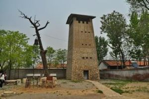 焦家遺址 焦家遺址