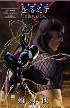 墜落之子：美國隊長之死