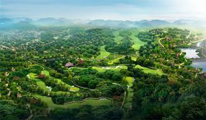 紫林山松樹谷球場