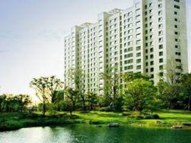 中鷹黑森林 中鷹黑森林