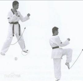 跆拳道基本動作-前踢 跆拳道基本動作-前踢