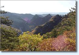 馬鞍山國家森林公園