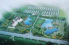 大倫鎮[江蘇省泰州市姜堰區下轄鎮]