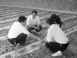 葛家屯村 葛家屯村