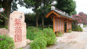紫薇園 紫薇園
