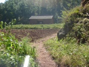 上灣子村 上灣子村