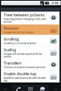 海洋鯊魚 海洋鯊魚