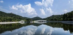 盤龍大觀園 盤龍大觀園