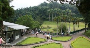 台灣孔雀園 台灣孔雀園