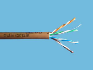 網路線纜 網路線纜