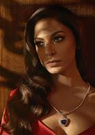 暴君[2014年大衛&middot;葉茨執導美劇]