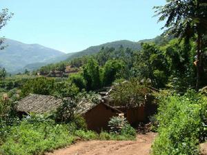 野鴨塘村[雲南省尋甸縣甸沙鄉下轄村]