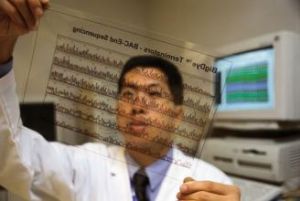 專利工程師 專利工程師