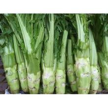 渝豐棒菜 渝豐棒菜