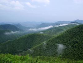 廣德旅遊名錄 廣德旅遊名錄