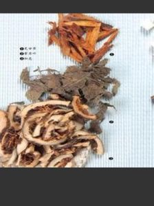 半夏厚朴湯 半夏厚朴湯