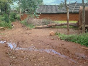 田楊家院村 田楊家院村