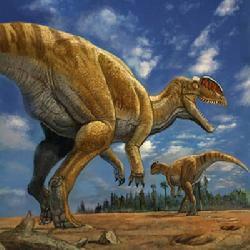 鞘虛骨龍 鞘虛骨龍