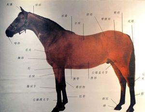 三河馬科技博物館 三河馬科技博物館