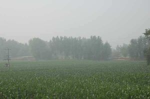 平子地自然村 平子地自然村