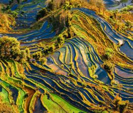 反坡梯田 反坡梯田