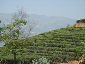 （圖）忙畔街道辦事處