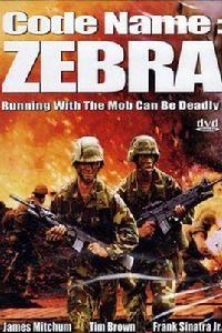 代號:斑馬 代號:斑馬