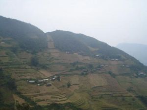 達芽洛自然村村情概況