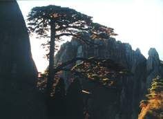 李國盛[攝影師]